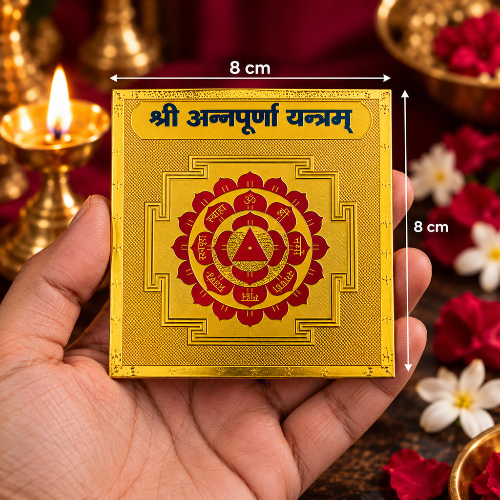 DEVAASTHA Annapurna Yantra — hand size reference